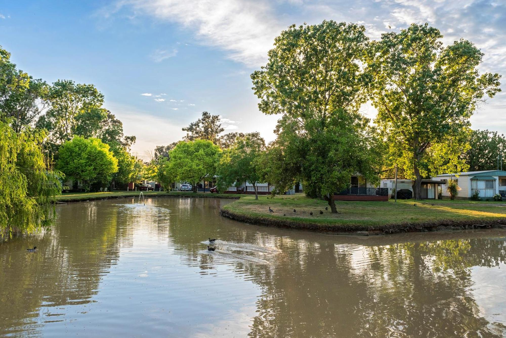 Discovery Parks - Maidens Inn Moama Esterno foto